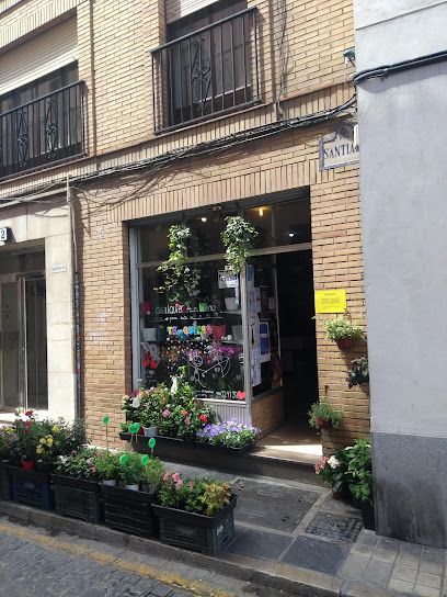 AIXA FLORISTERIA