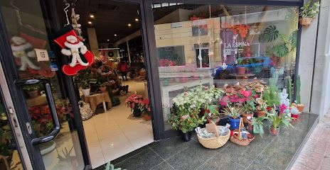 Floristería La Espina: Flores, Plantas, Producto local & Objetos de decoración
