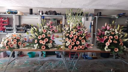 Flores Conchin