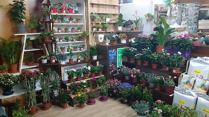 Hobbyflor