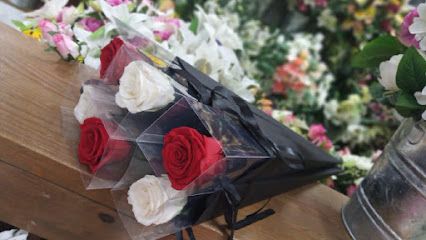 Flores Cano Porras