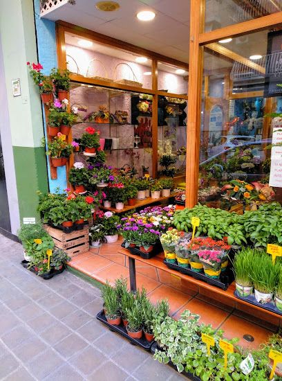 Floristería Adrián