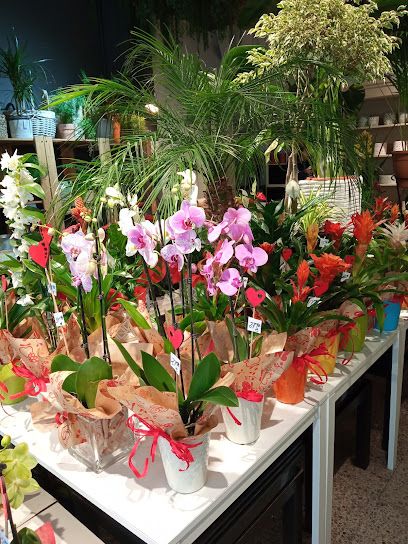 Alea Floraría