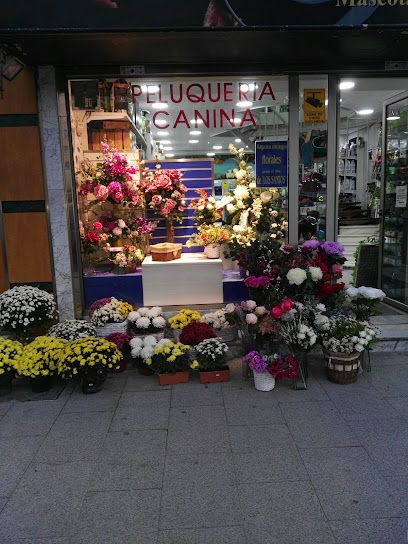 Floristería Mascotas Jungla