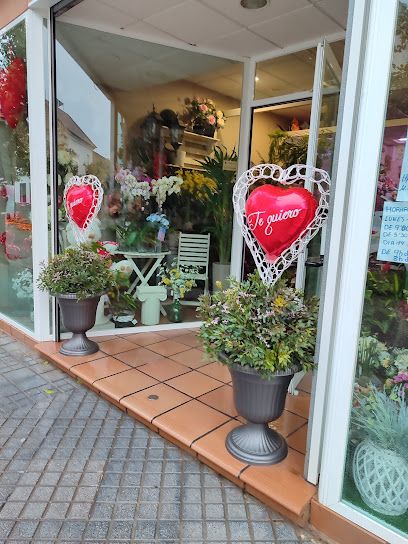 Flores Y Plantas Loli