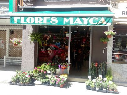 Mayca