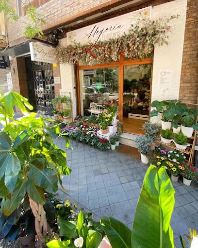 Alegoría Floristería