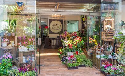 Floristería en Calella
