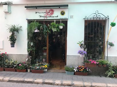 Floristeria Mirabent