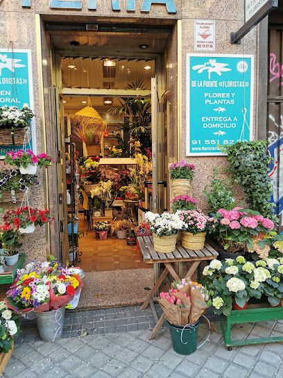 DE LA FUENTE Floristas