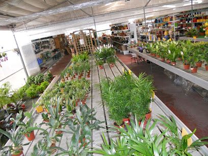 Centro de Jardinería - Floristería La Campana Los Dolores