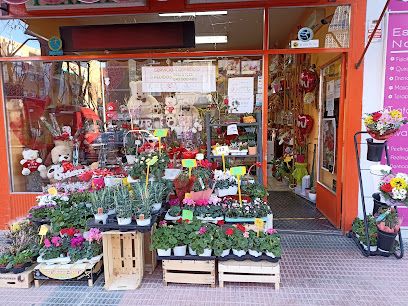 Floristería Montse