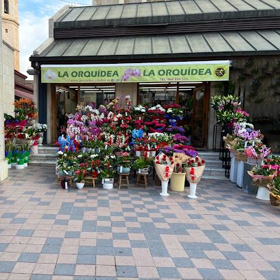 Floristeria La Orquídea Castellón