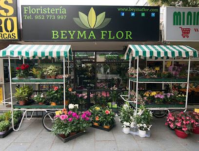 Beyma Flor