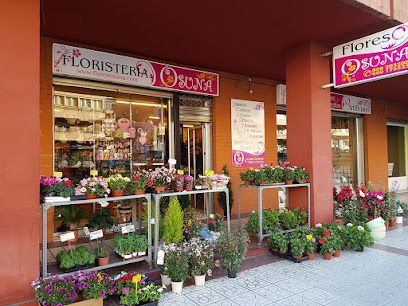 Floristería Osuna Granada - Envío de flores y rosas a domicilio - Coronas fúnebres