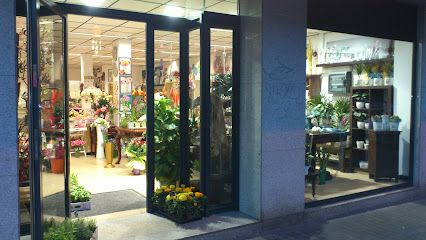 AROMA NATURA