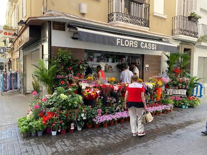 CASSI Flores y Plantas