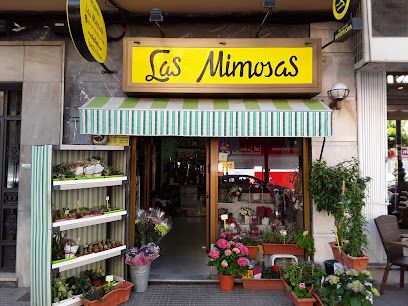 FLORISTERIA LAS MIMOSAS