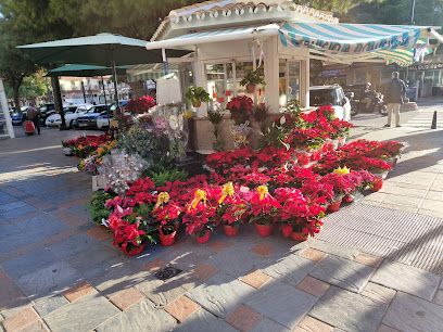 Quiosco flores Jose