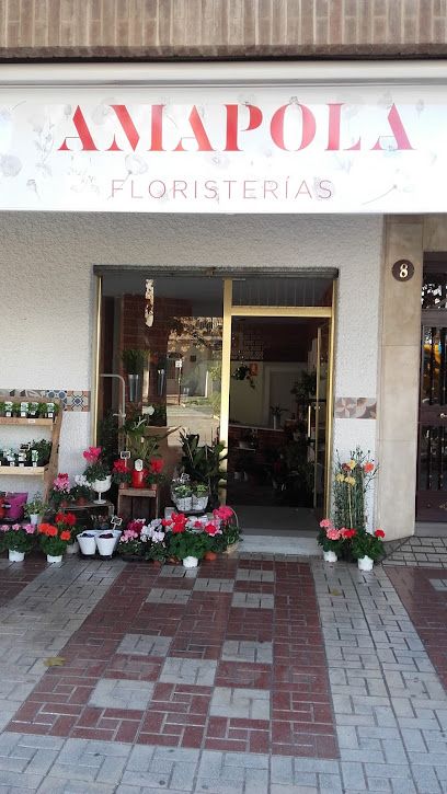 Amapola Floristerías