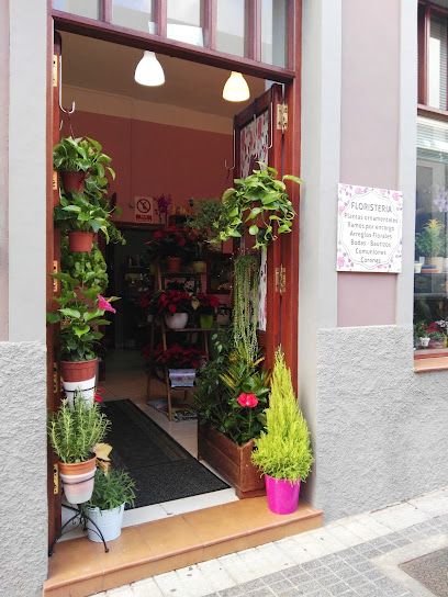 Floristería la flor