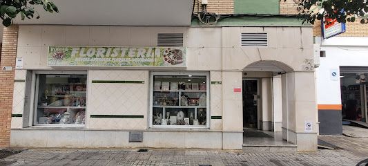 Floristeria Virgen del Rocio