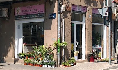 El somriure de les flors