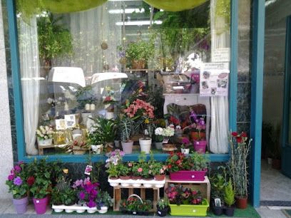 Tu Floristería en Casa