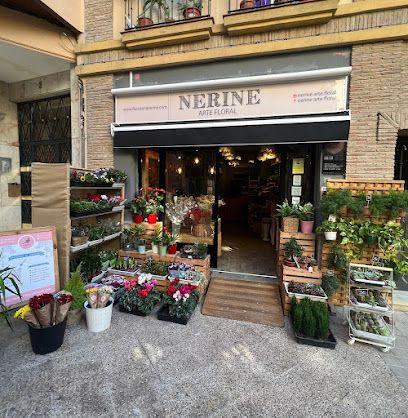 Floristeria Nerine Arte Floral