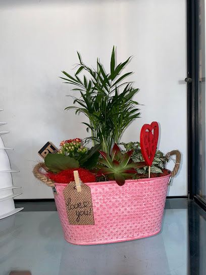 Flores Azucena