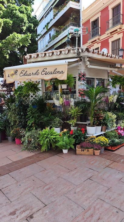 Floristería La plaza