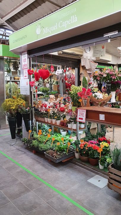 Floristería Miquel Capellà