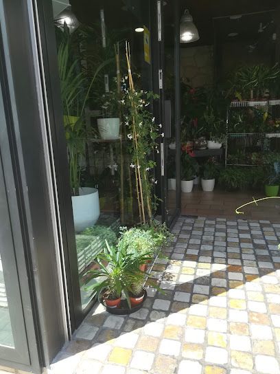 ILICITANA DE FLORES Y PLANTAS, S.L.