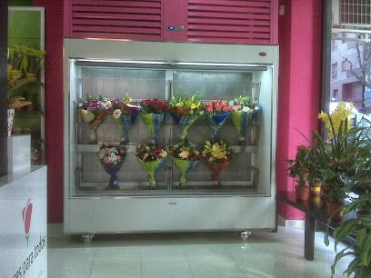 Flores Para Todos