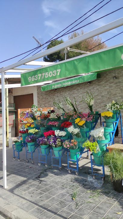 Flores Rodríguez