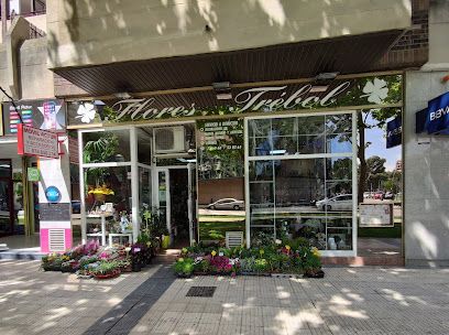 Flores Trébol