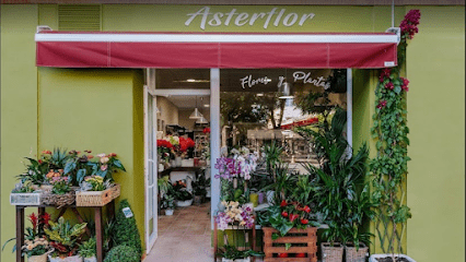 Asterflor - Flores y Plantas