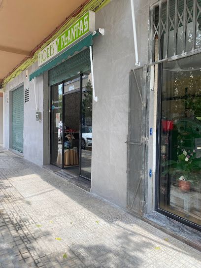 Flores Fombuena s.l