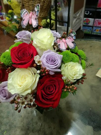 Andecha Floral S.L.