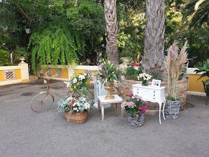 Art Natural Floristería en Valencia