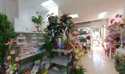 Floristeria david