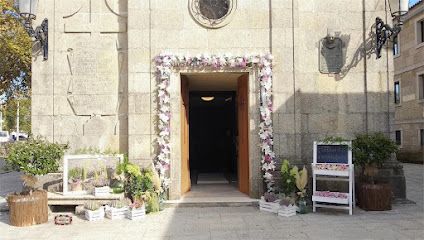 Floristería Carmen Sío