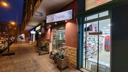 Floristería La Violeta by Lolin Benimaclet