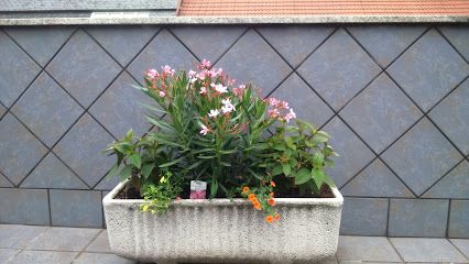 Naranco, Flores y Plantas
