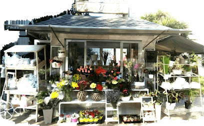 Floristeria Ulises Valencia