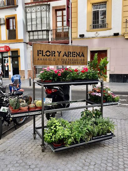 FLOR Y ARENA