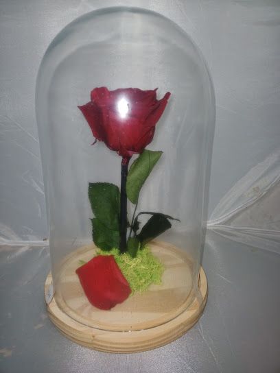 Floristería Mª Luisa