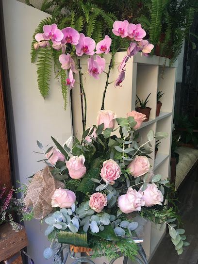 Floristería Los Claveles