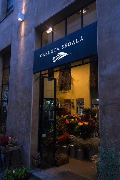 Carlota Segalà