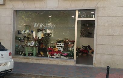 Anais Floristas